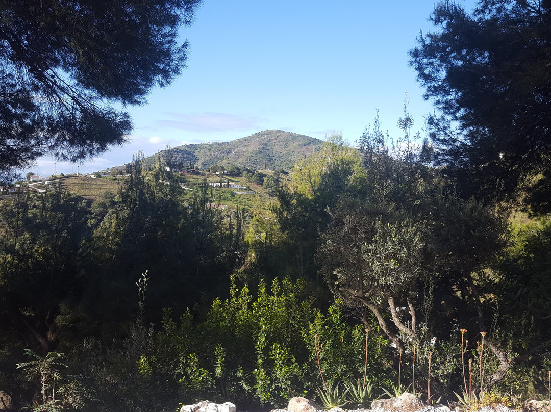 Finca Los Pinos主图