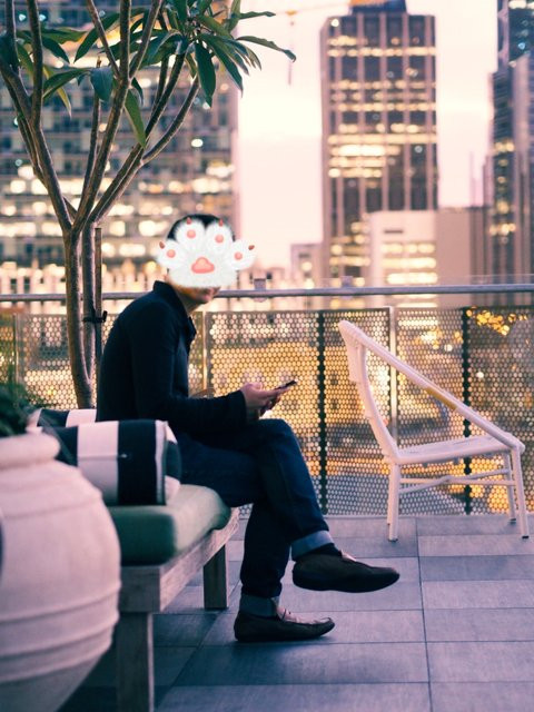 艾历克斯酒店主图