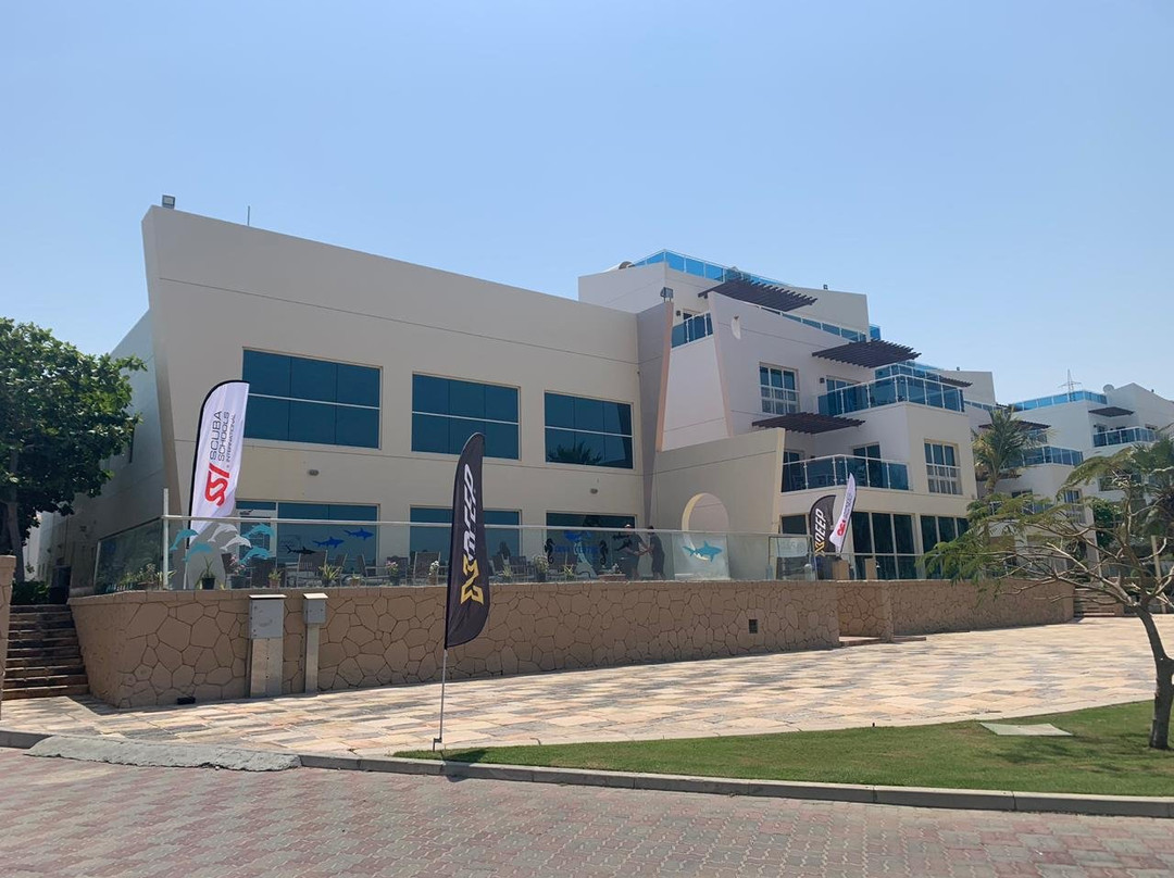 The Palms Dive Centre-Dibba Al Fujairah必去景点