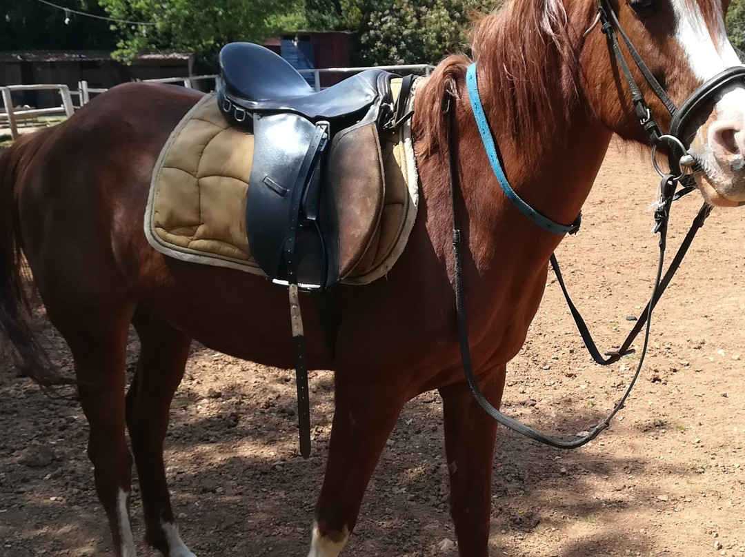 Kas At Ciftligi-卡斯必去景点