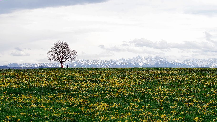 Schrattenbach旅游攻略图片