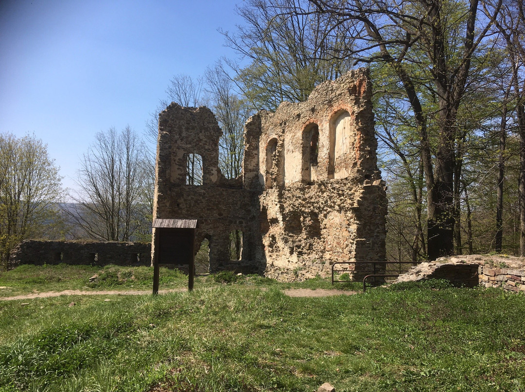 Vikštejn u Radkova Ruin景点图片
