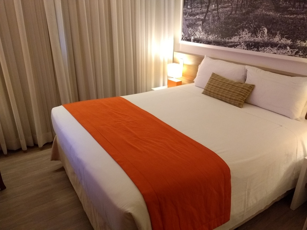 Partner Hotel Caxias do Sul主图