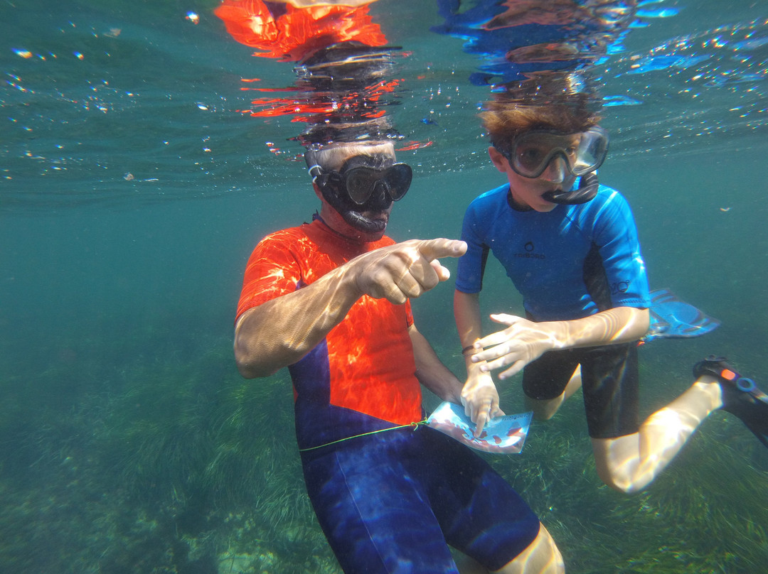 Snorkel Cabo de Gata景点图片