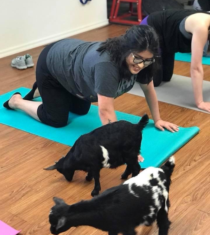 Waco Goat Yoga-韦科必去景点