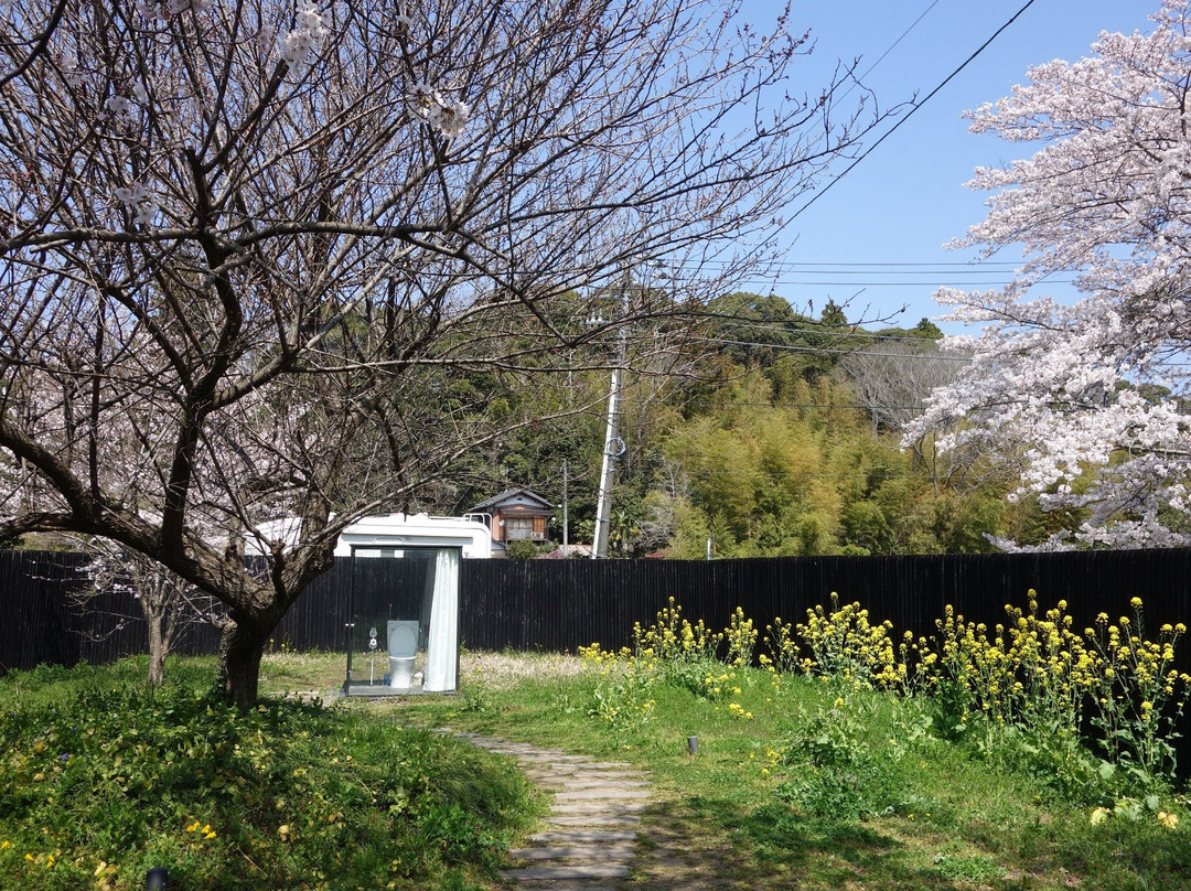 Itabu no Sakura-市原市必去景点