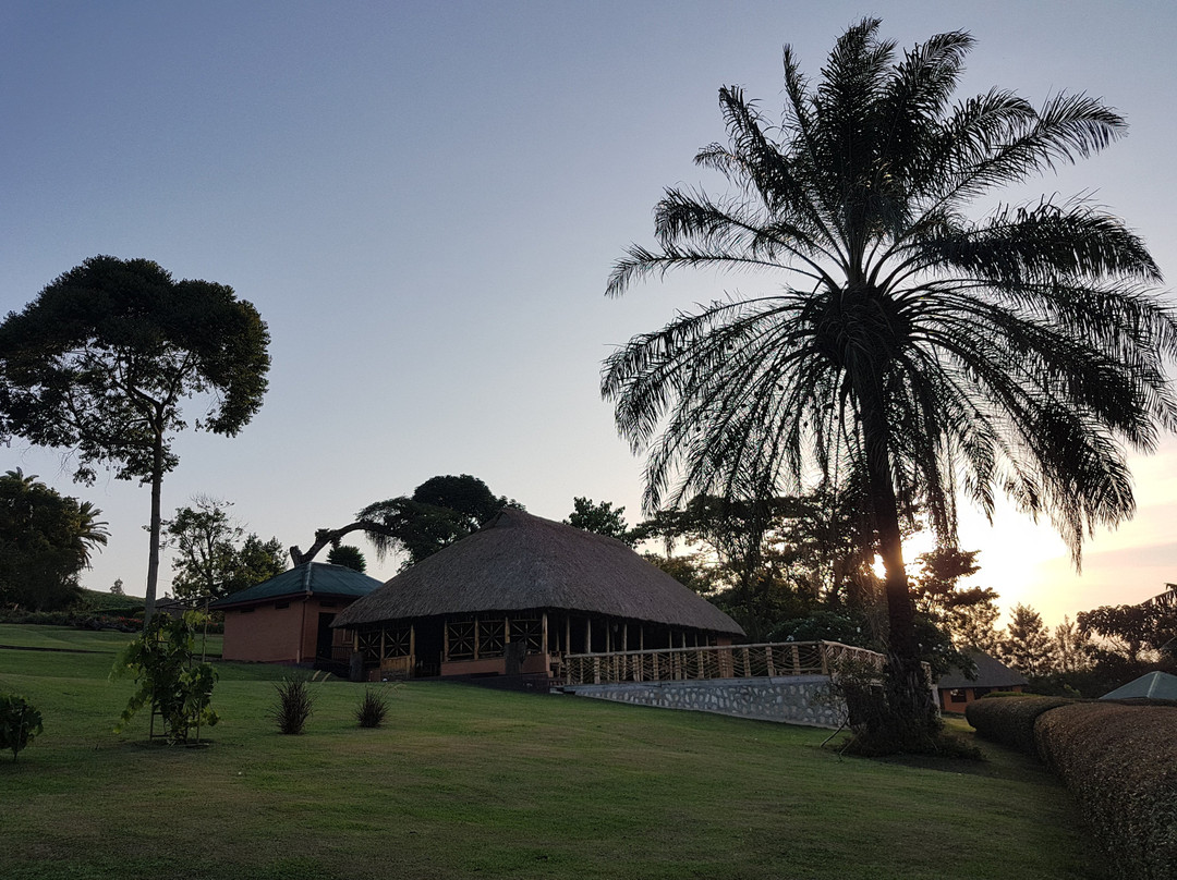 Chimpanzee Forest Lodge.主图