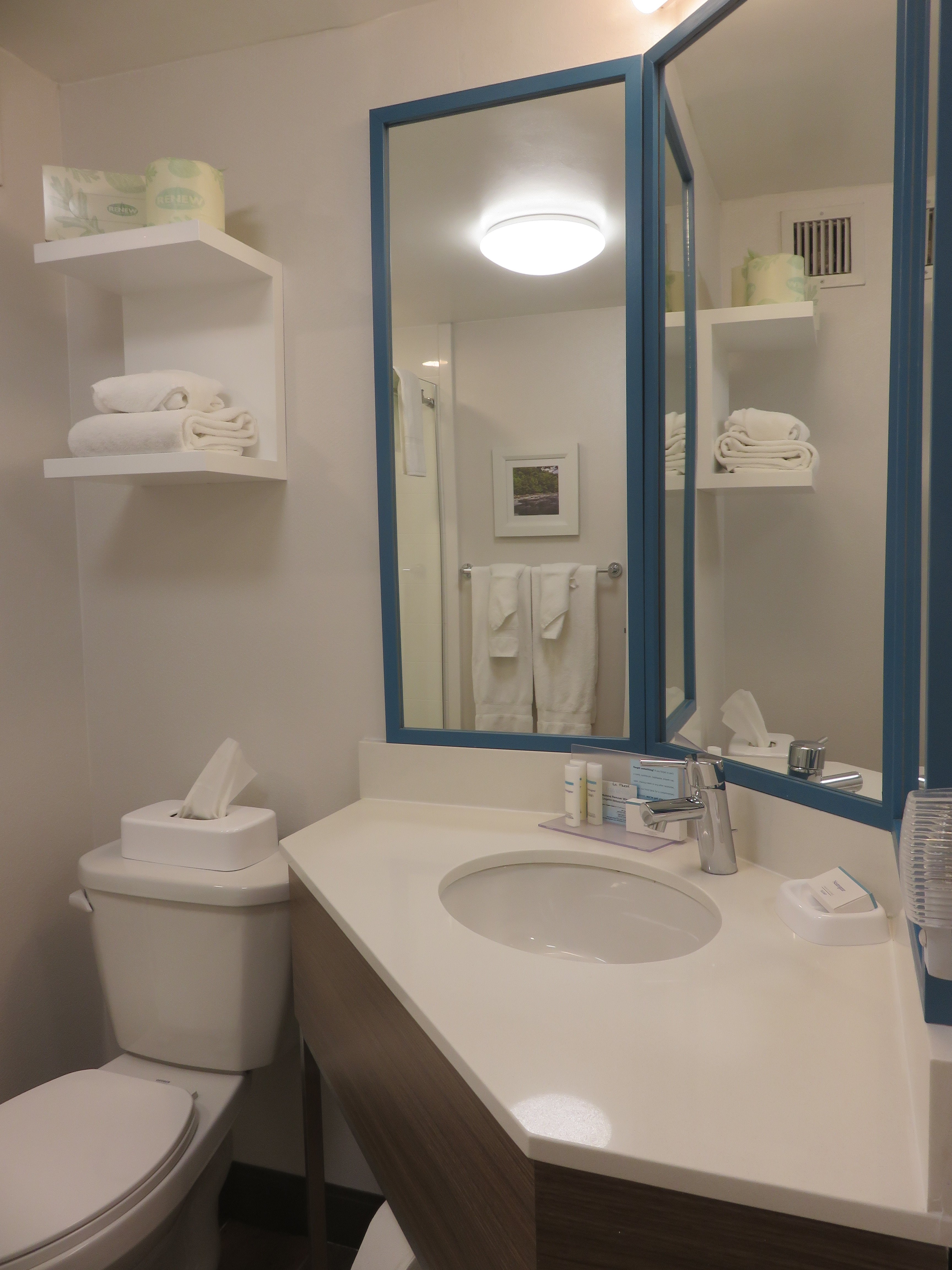 Hampton Inn Summersville-浴室
