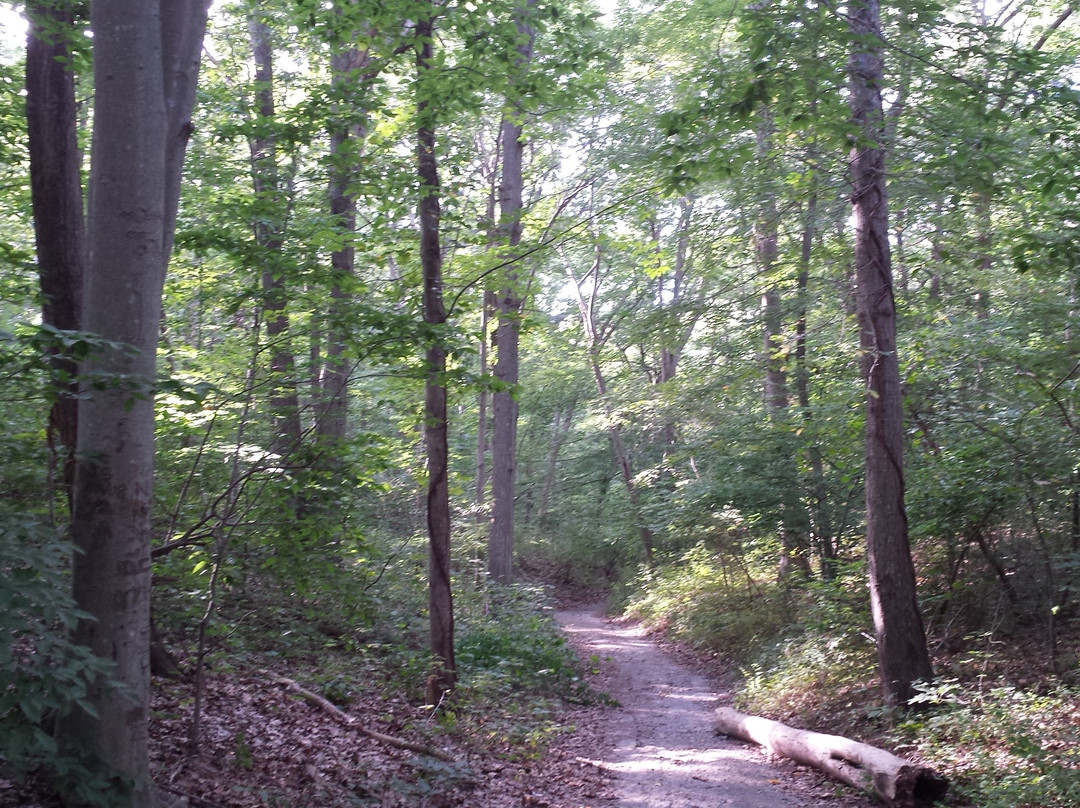 Cordwood Landing County Park-Miller Place必去景点