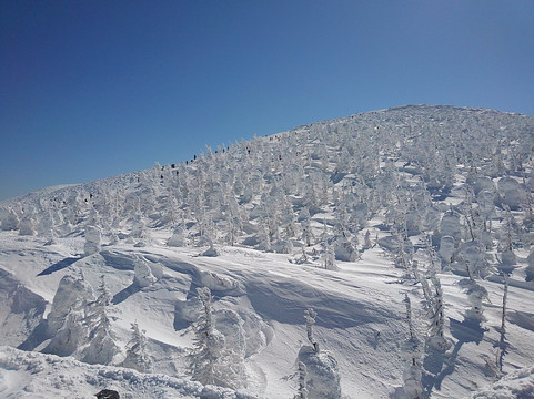 Zao Juhyo Festival-山形市必去景点