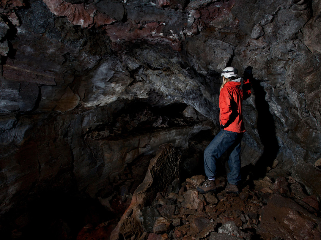 Arctic Adventures-凯夫拉维克必去景点