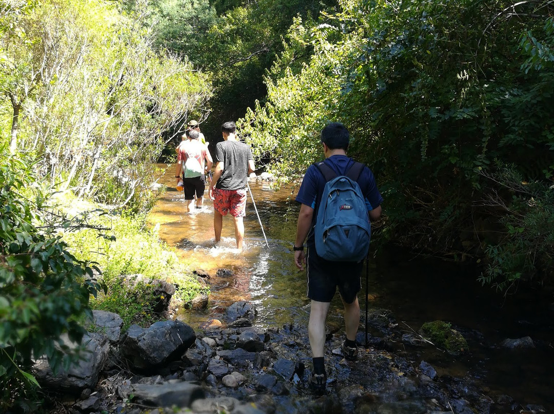 Rutas Pudu-Pelluhue必去景点