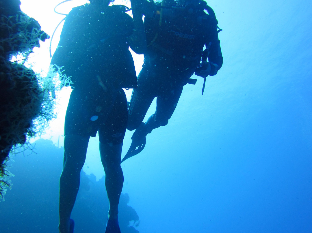 Manati Divers-图伦必去景点