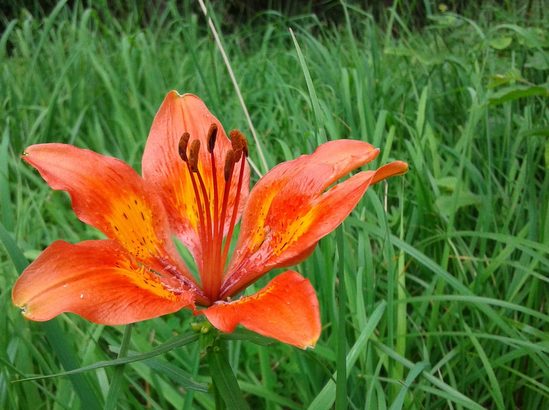 Osservatorio Astronomico di Monte Zugna-罗韦雷托必去景点