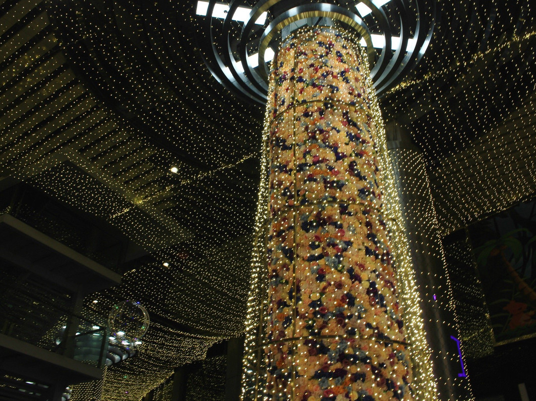 芜湖中山路步行街-芜湖必去景点