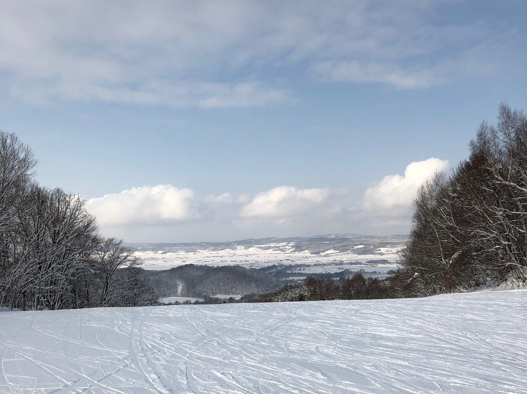Kamui Ski Links-旭川市必去景点