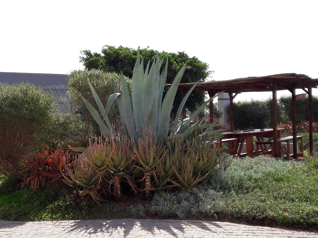 Wind-Rose Guest House主图