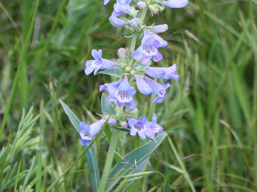South Overlook-Gering必去景点