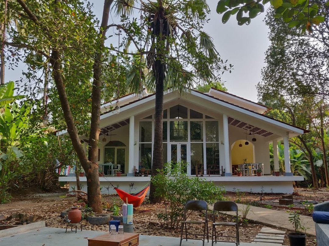 The Kokum Tree