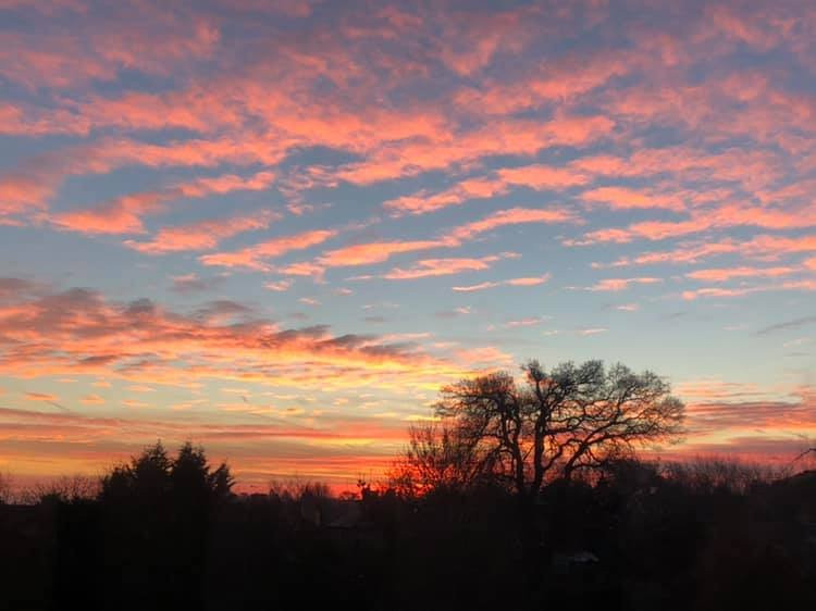 White Rabbit Hotel主图