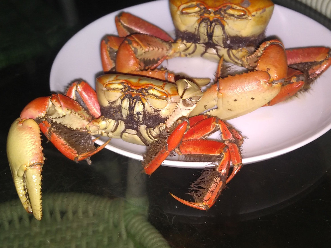 Pousada Tremembé主图