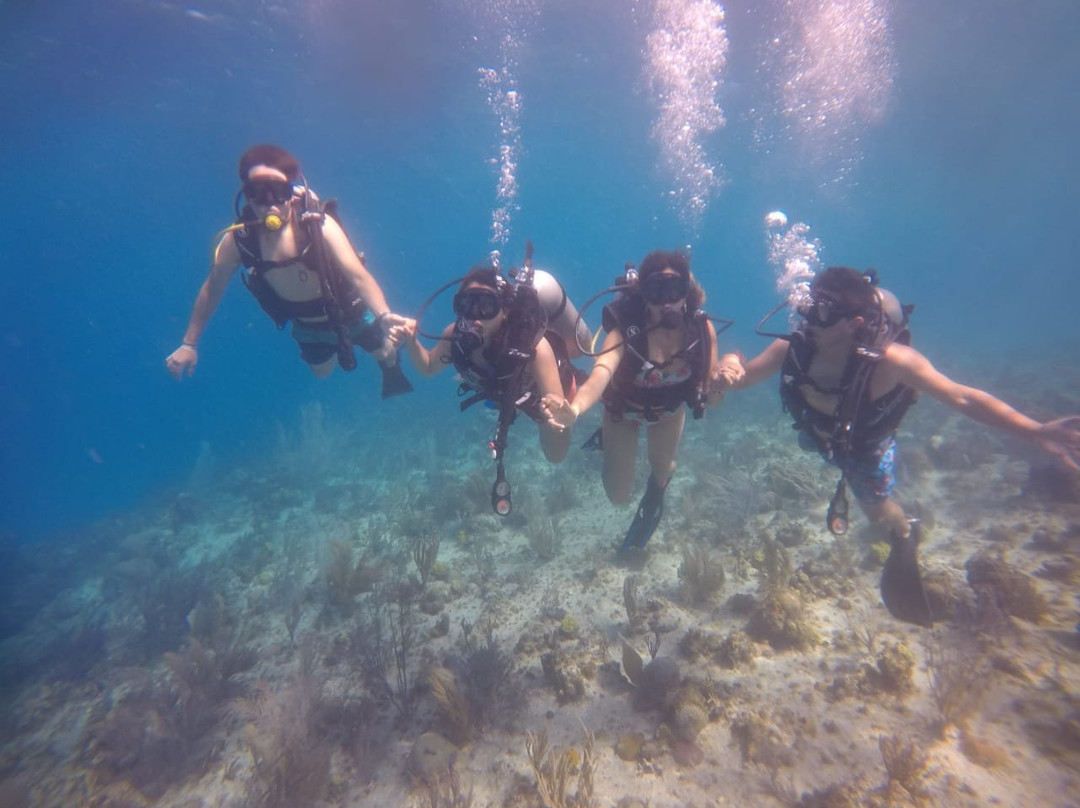 Centro De Buceo Narval景点图片