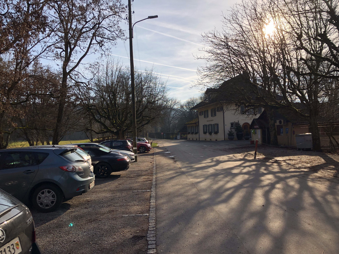 Seeblick am Burgäeschisee主图