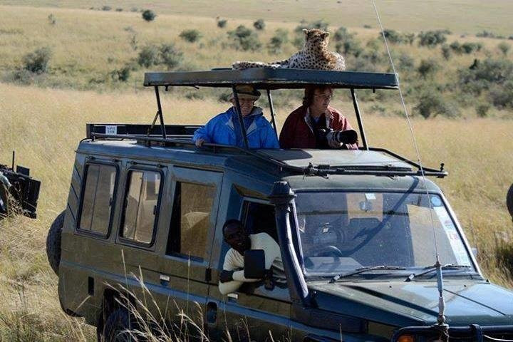 Livan Holidays Tours & Safaris -Tanzania景点图片
