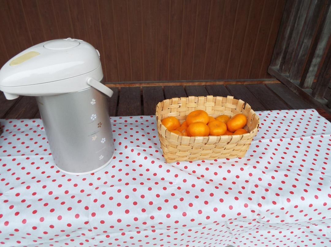 Ninomiyamachi Futami Museum-二宫町必去景点