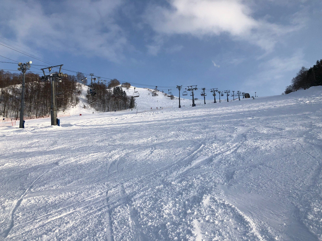 Mount Racey Ski Resort景点图片