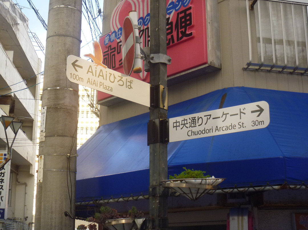 Tida Mall Shopping Street-奄美市必去景点