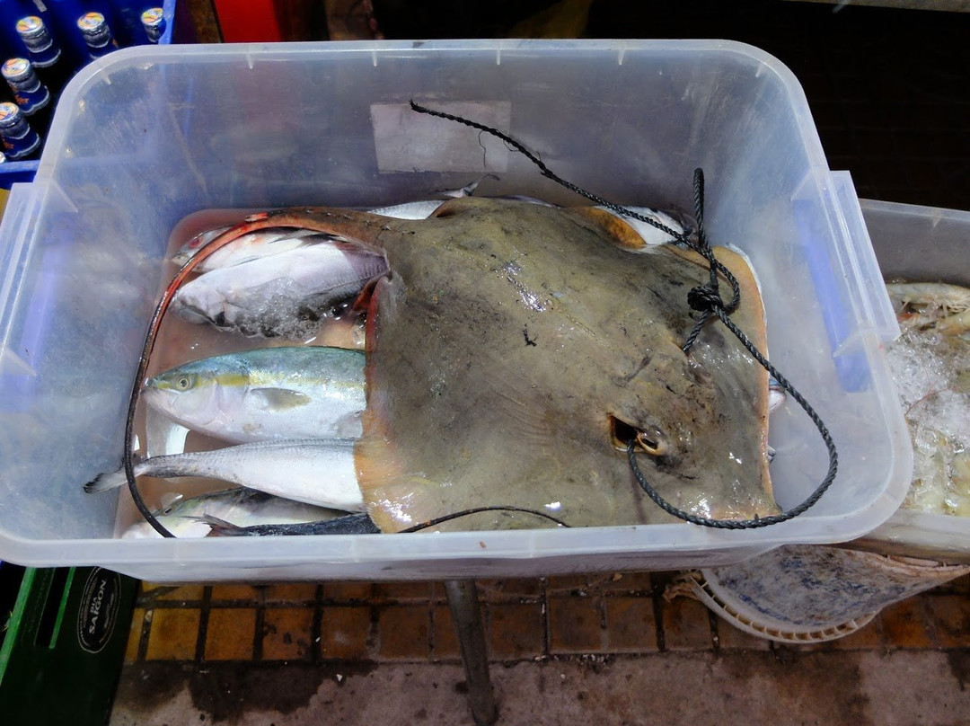 Ha Tien Night Market-Ha Tien必去景点