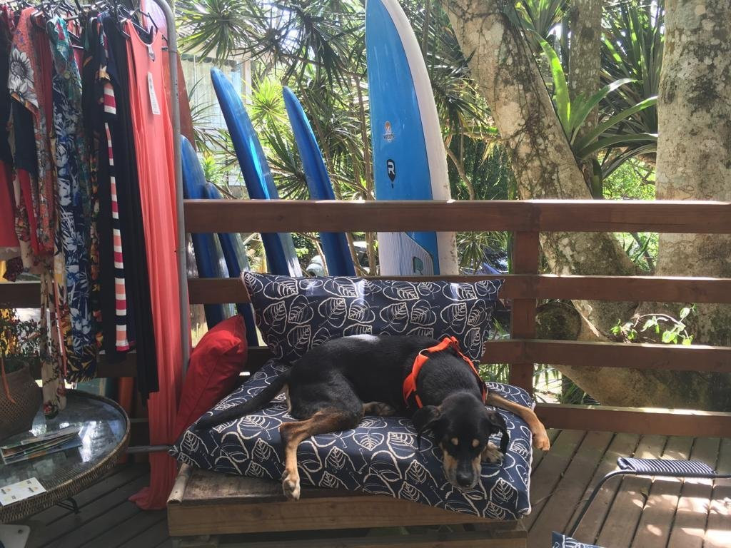 Vila Gaia Chalés主图