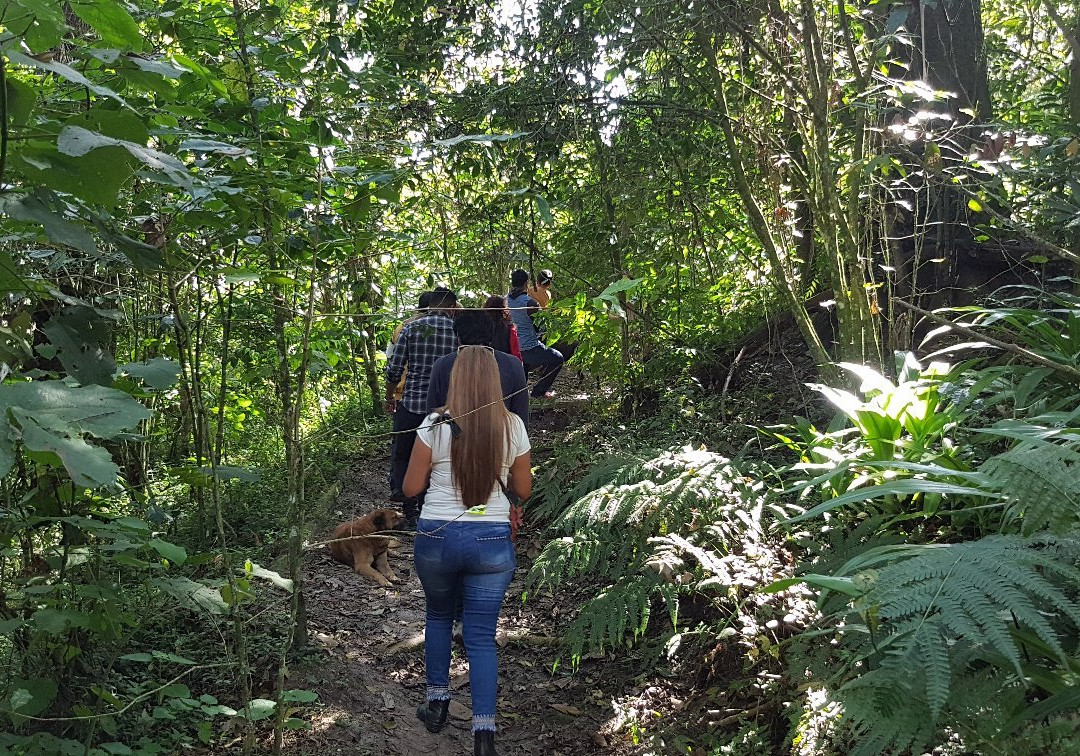 El Tour del Cafe Finca Don Silvano景点图片