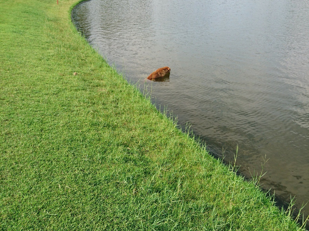 Muang Kaew Golf-挽披县必去景点