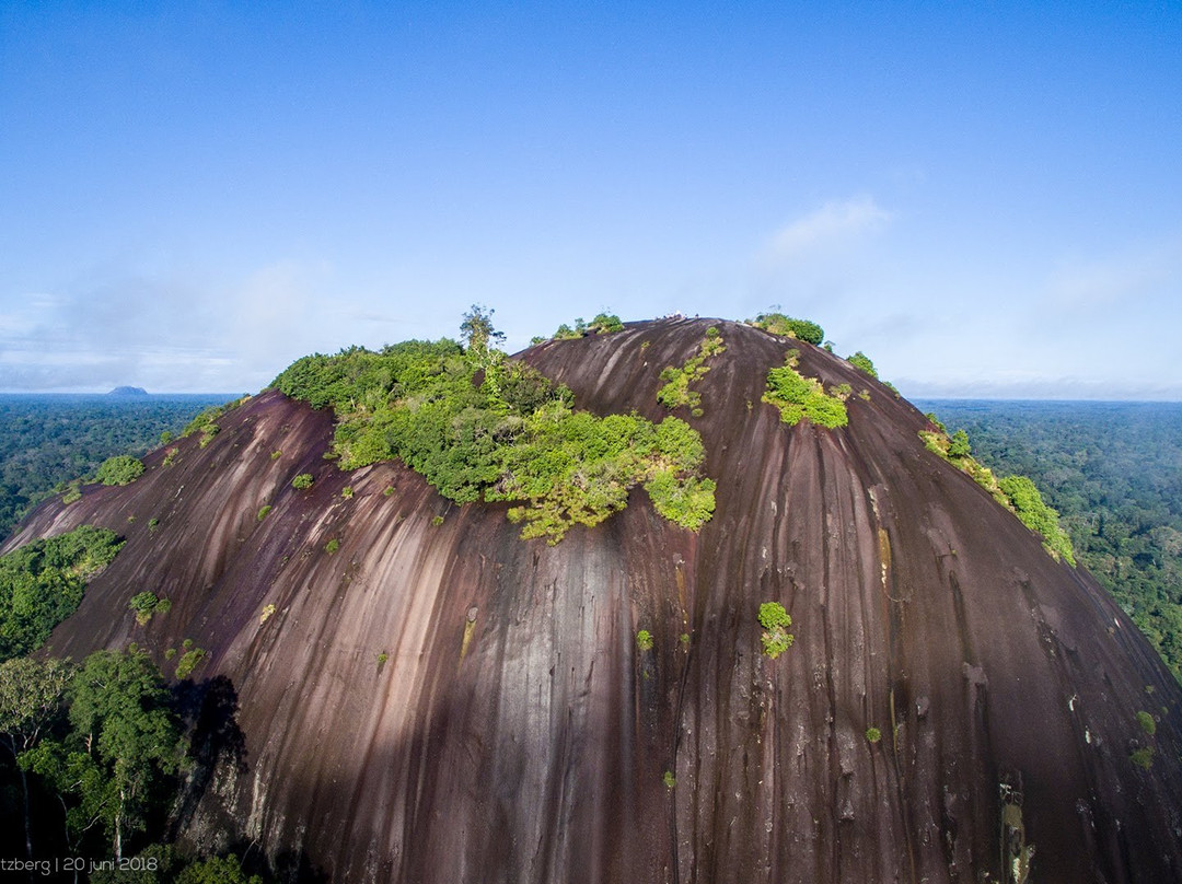 Celestial Tours Suriname景点图片
