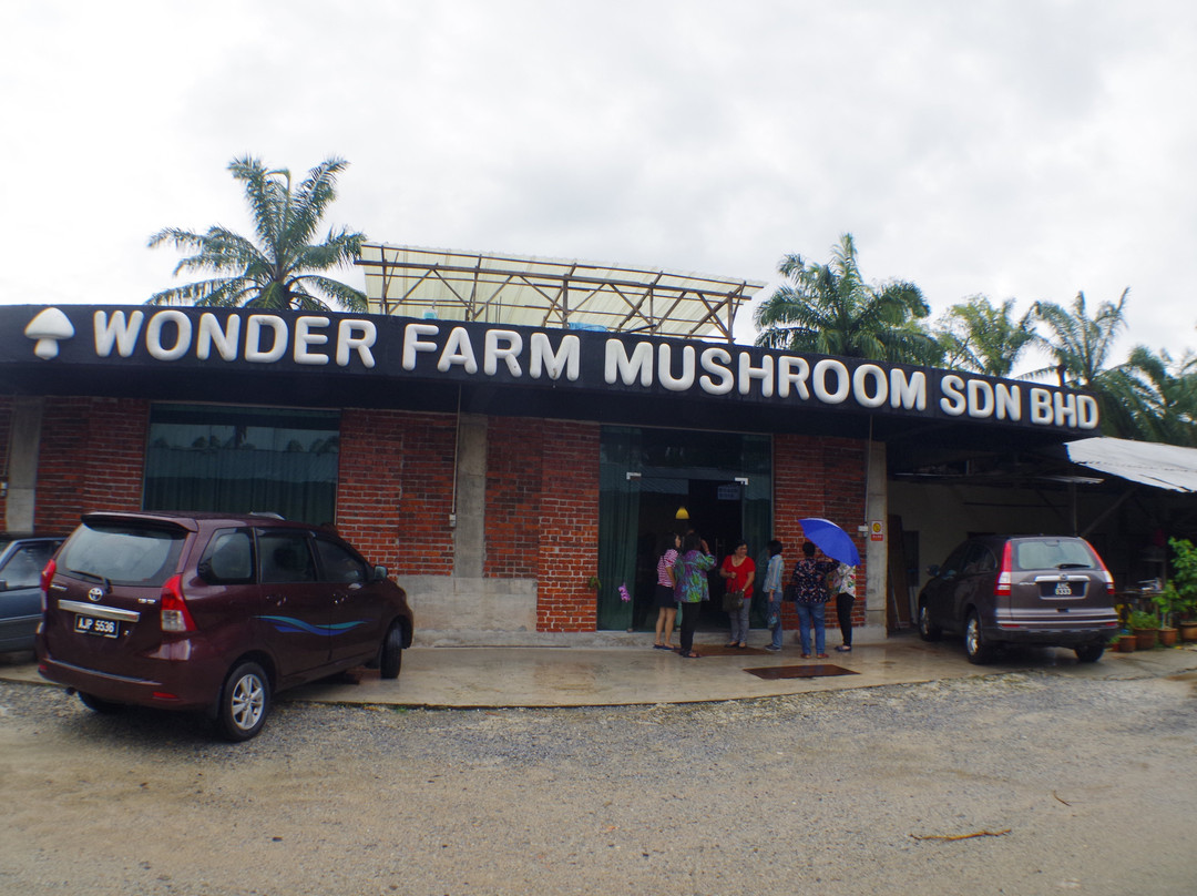 Wonder Farm Mushroom景点图片