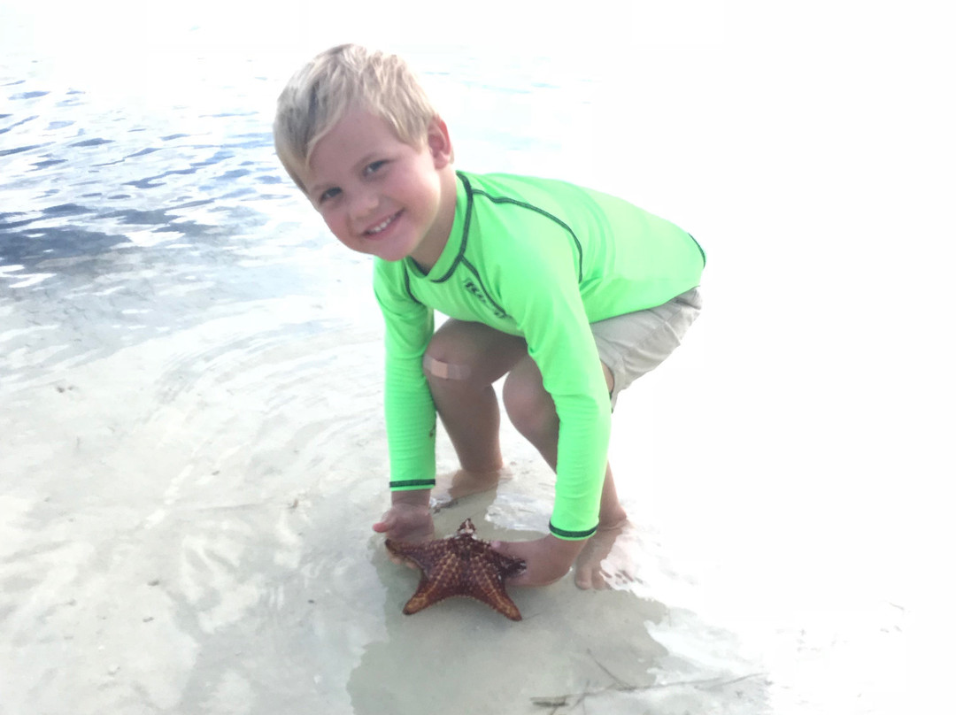 Starfish Point-大开曼岛必去景点