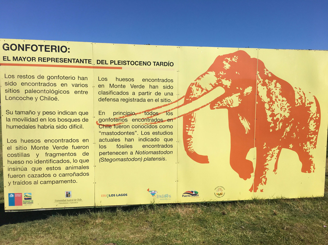 Monte Verde-蒙特港必去景点