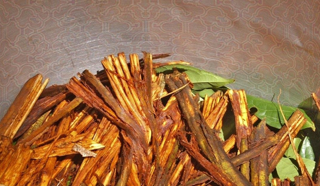 Ayahuasca Foundation-伊基托斯必去景点