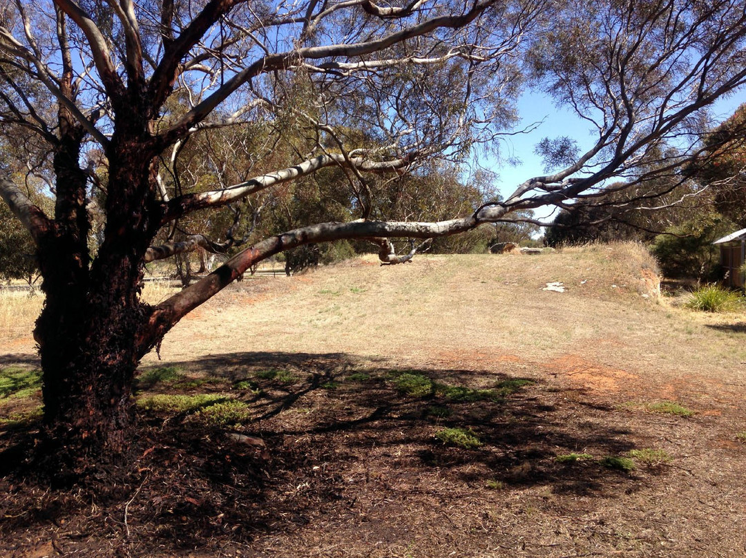 Jamestown旅游景点-RM Williams Monument