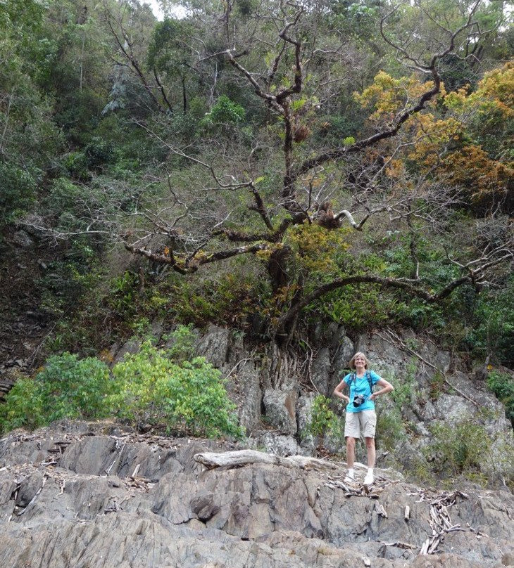 Wujal Wujal Falls-Bloomfield必去景点