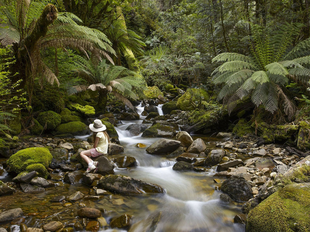 Great Aussie Photo Tours景点图片