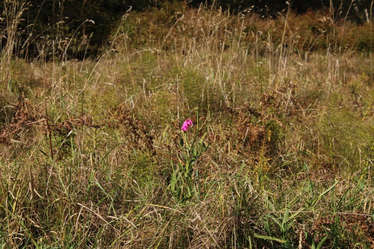 Crippen Regional Park-Bowen Island必去景点