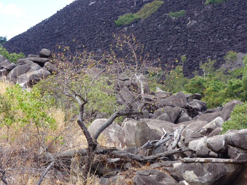 Black Mountain National Park-昆士兰必去景点