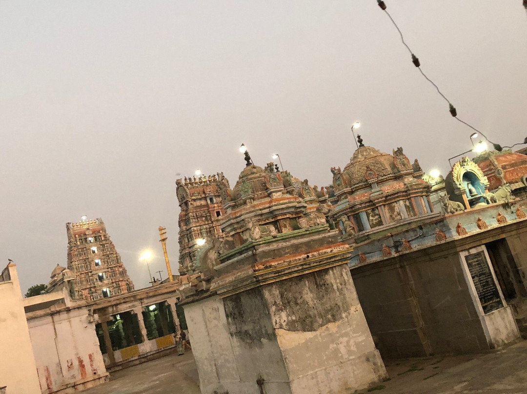 Vedapureeswarar Temple景点图片