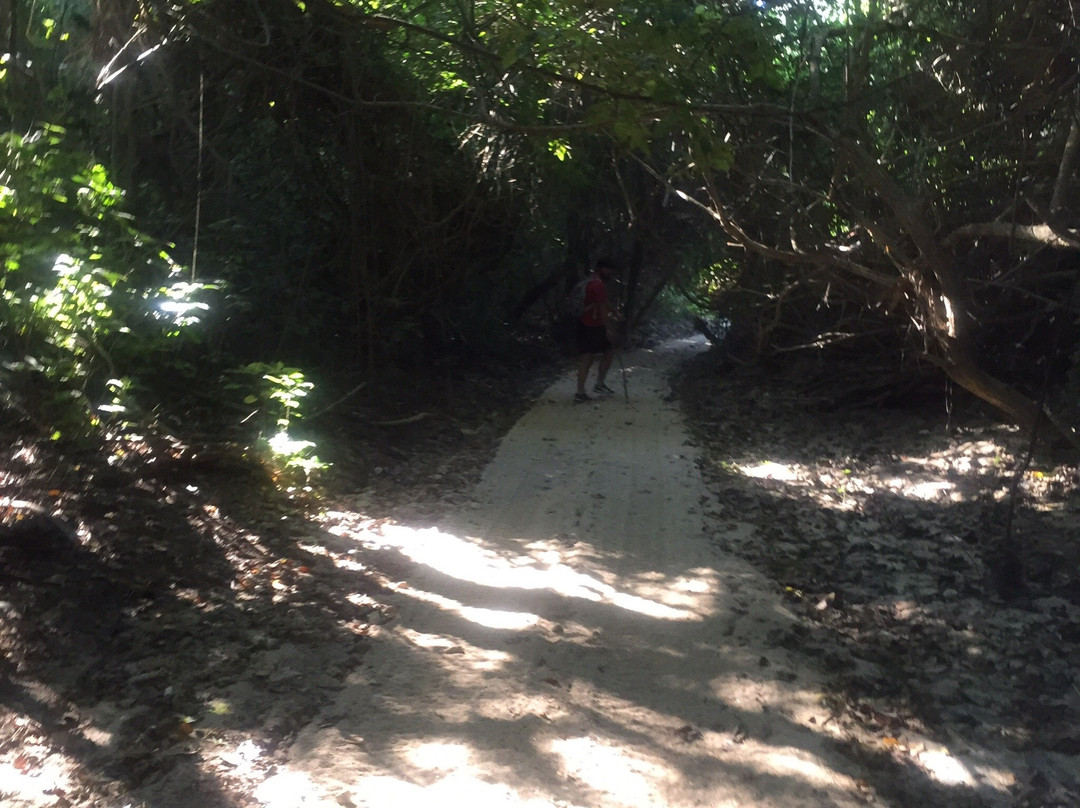 Playa Organo-瓦图尔科必去景点