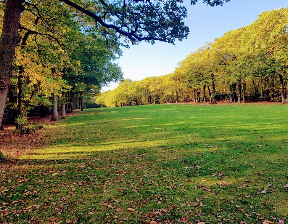 Belfairs Wood, Park and Nature Reserve景点图片