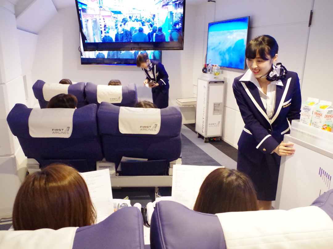 FIRST AIRLINES