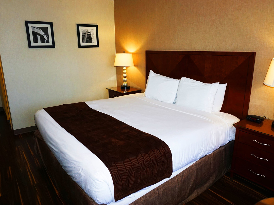 花卉公园汽车旅馆主图